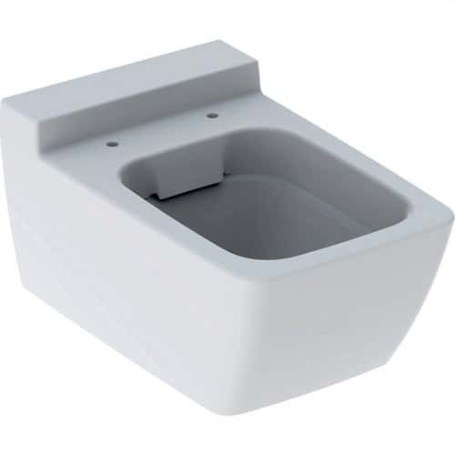 Geberit Xeno² Rimfree Wall-Hung Deep Bowl Toilet with reference 500.500.01.1 from the brand GEBERIT