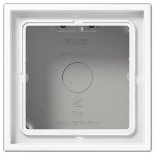 Alpine White Single Surface Box LS with reference LS581AWW from the brand JUNG