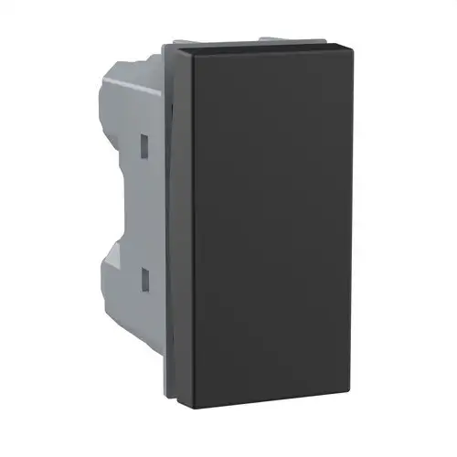 Narrow Double Switch, 1 Module for Dark Classia Blinds with reference RG4027N from the brand BTICINO