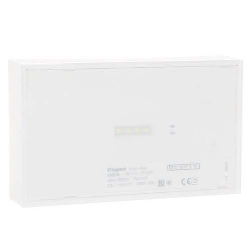 URANEXT Emergency Light 100 Lumens 1H with reference 660022 from the brand LEGRAND